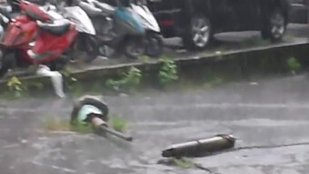 Teman Yang Cantik Dan Ramah Dengan Polio