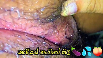 ¡la Puta De Sri Lanka Disfruta De Un Gran Culo Y Placer Orgásmico!