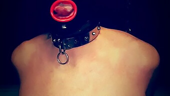 บอนเดจ Bdsm: การสวมสายรัดของ Mistress Slut ที่เป็น Femdom