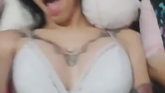 Una Transexual Latina Recibe Una Follada Anal