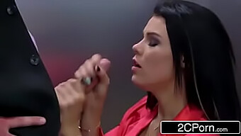 Peta Jensen Fica Excitada Com Sua Performance Zzs.