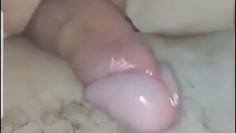 My Gf'S Pussy Fingering And 69 Play